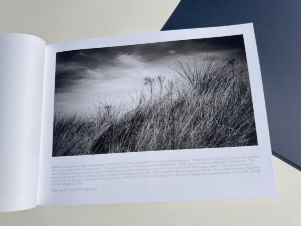 A3 Japanese stab-bound book workshop - Image 2